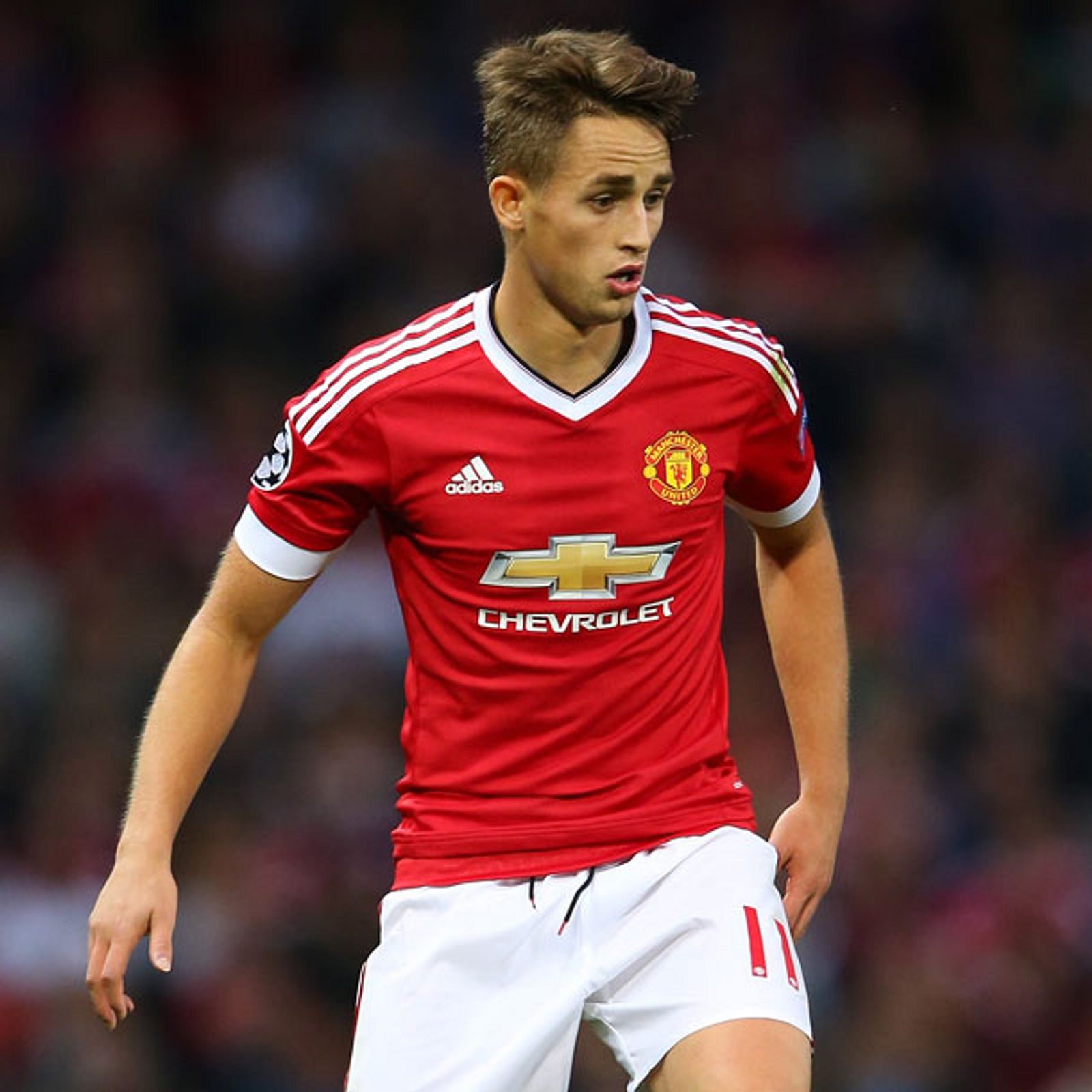 Transfergerüchte Wechselt Januzaj zum BVB Transfergerüchte