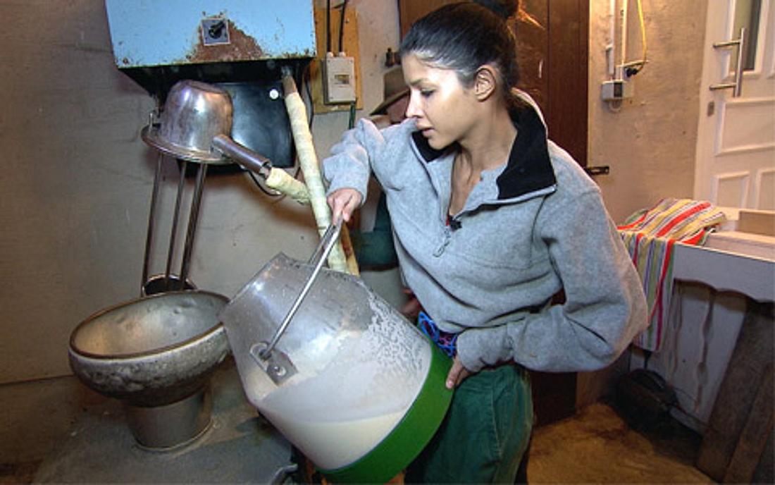 Nacktmodel Micaela Schäfer muss direkt mit anpacken und Milch melken