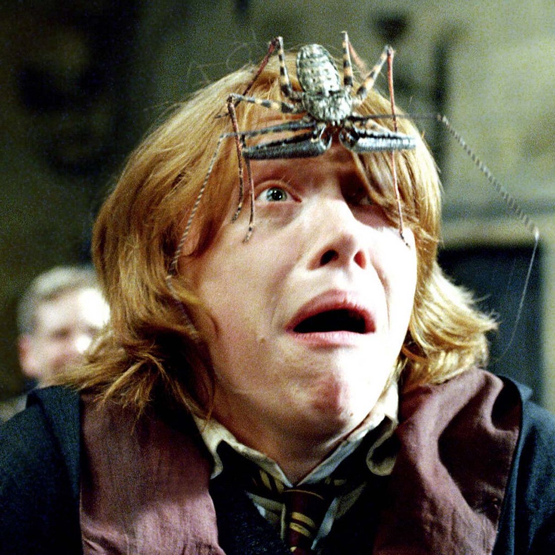 „Harry Potter“-Geheimnis: Rupert Grint hat wirklich Angst vor Spinnen!