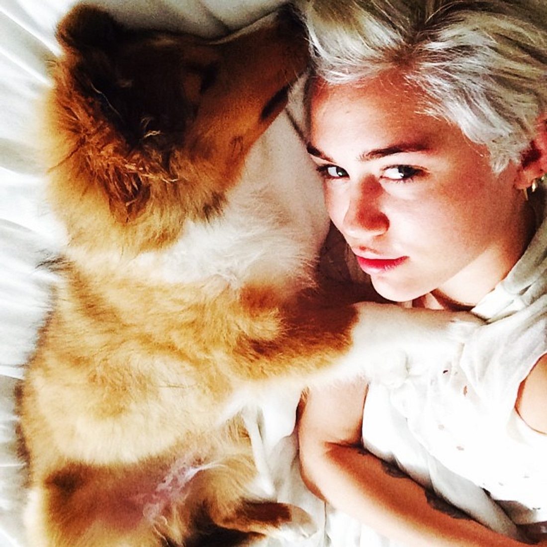 Der neue Hund an Miley Cyrus' Seite: Emu!