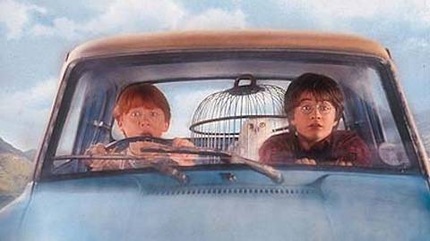 Ron & Harry Potter - Foto: Warner Bros.