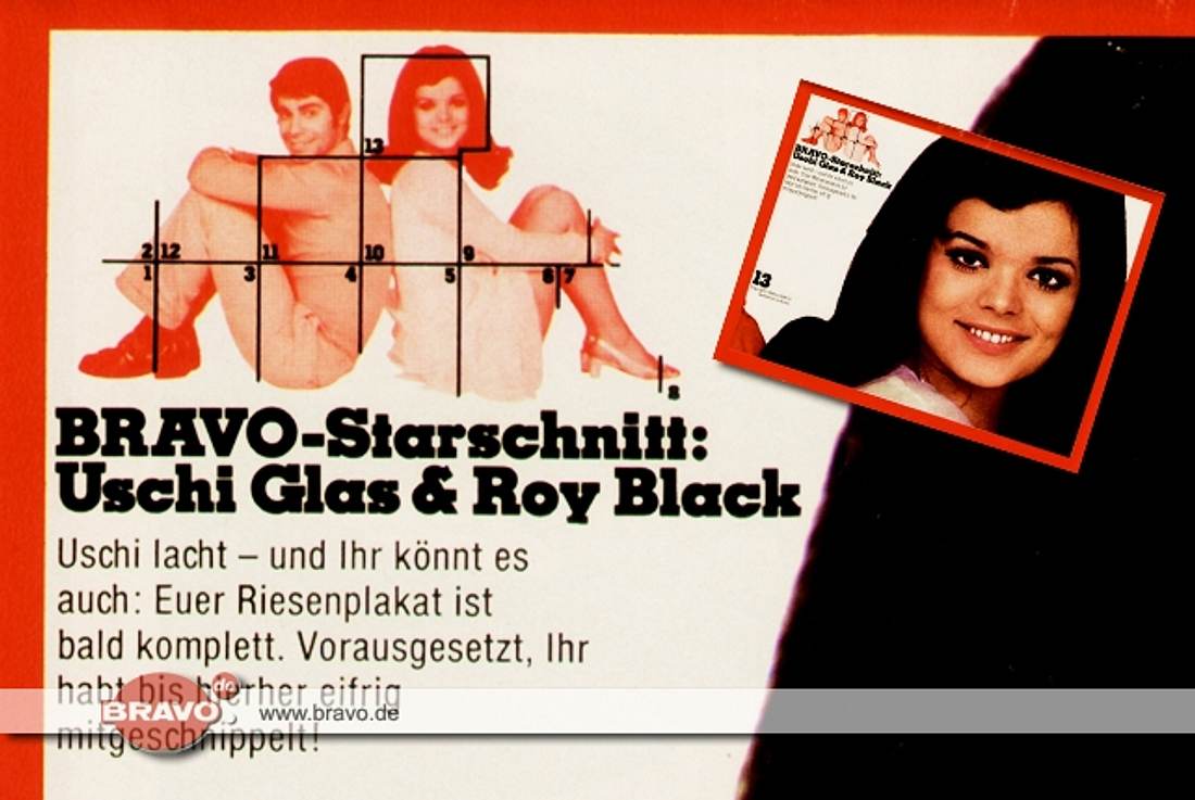 BRAVO Starschnitte 50er und 60er Jahre! BRAVO Starschnitte 50er und