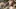 Video Platzhalter Video Platzhalter