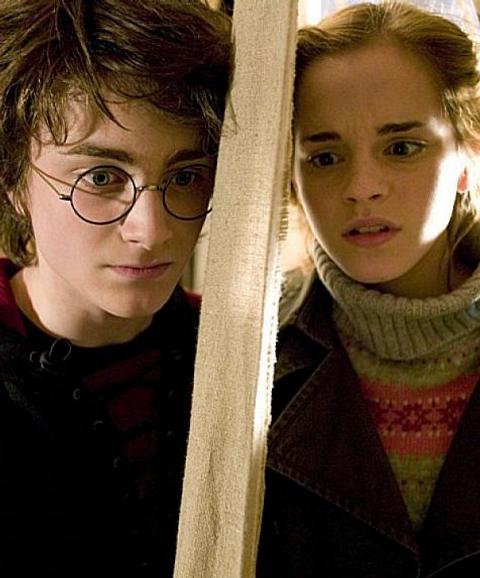 Rob (15) aus Hannover Rob vermutet, dass sich am Ende herausstellt: Harry und Hermine sind Geschwister. Mit vereinten Kräften gelingt es den beiden, Voldemort zu vernichten. - Foto: Warner