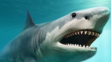 Ausgestorbener Horror-Hai zurück in den Weltmeeren - Foto: iStock/Warpaintcobra, Mark Kostich
