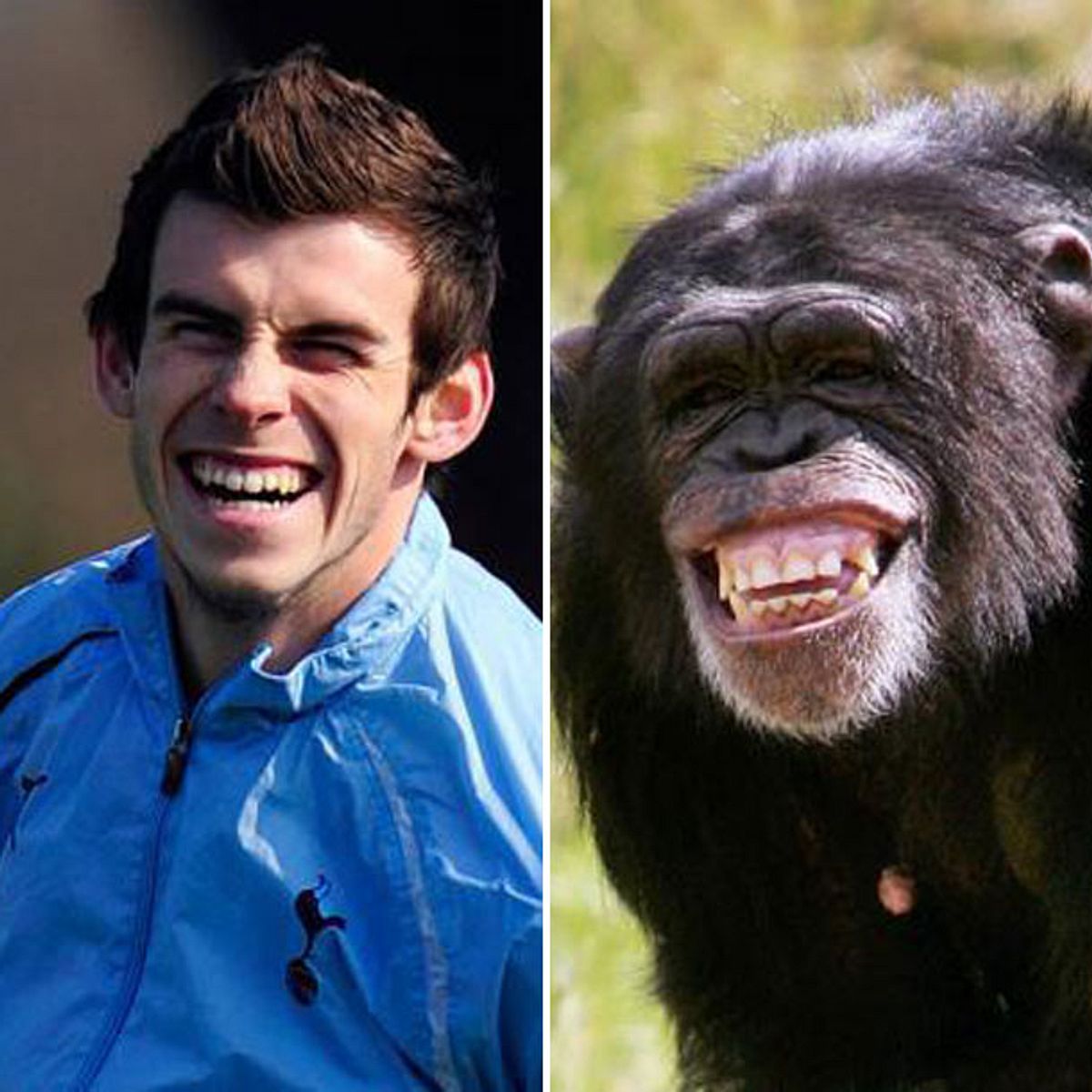 Gareth Bale