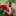 Video Platzhalter Video Platzhalter