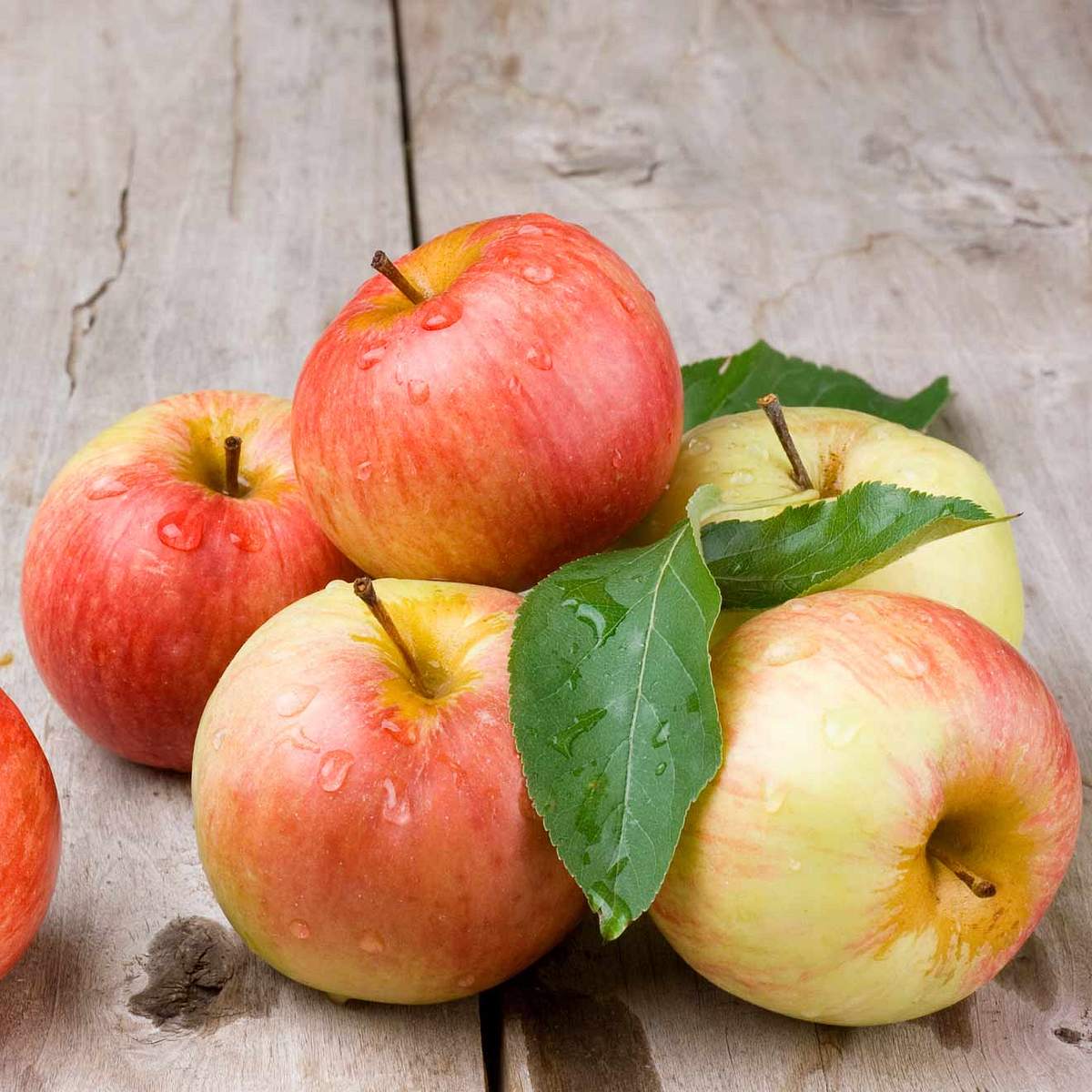 Brain Boost Diese Lebensmittel halten dein Köpfchen fit Äpfel