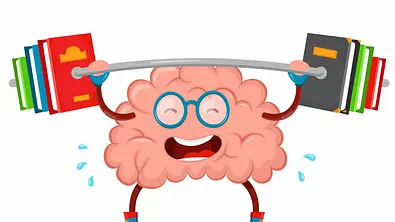 Brain Boost Diese Lebensmittel halten dein Köpfchen fit