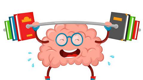 Brain Boost Diese Lebensmittel halten dein Köpfchen fit