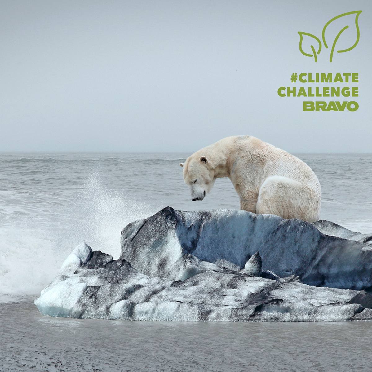 BRAVO Climate Challenge