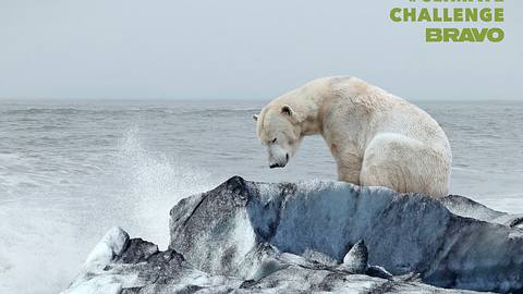 BRAVO Climate Challenge - Foto: narvikk / iStockPhoto