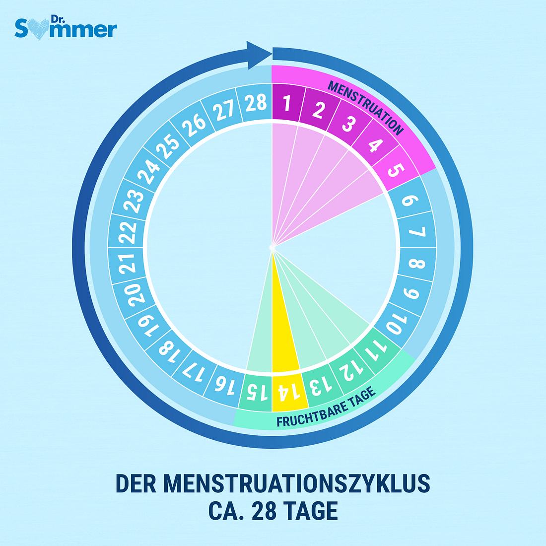 Zyklus unregelmäßig