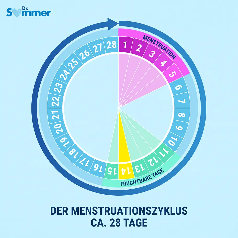 Zyklus unregelmäßig