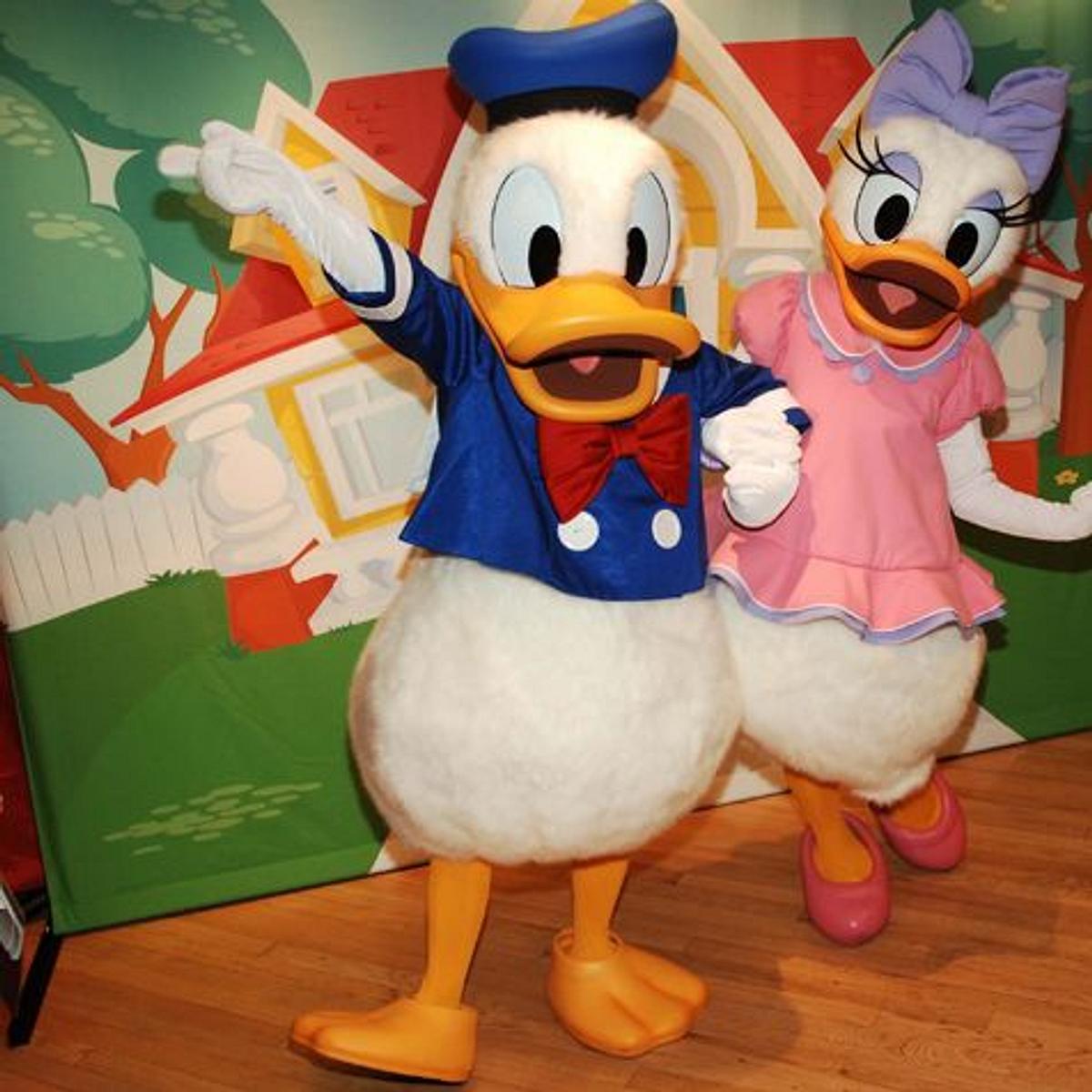 Die beliebtesten Comicfiguren Donald Duck Daisy