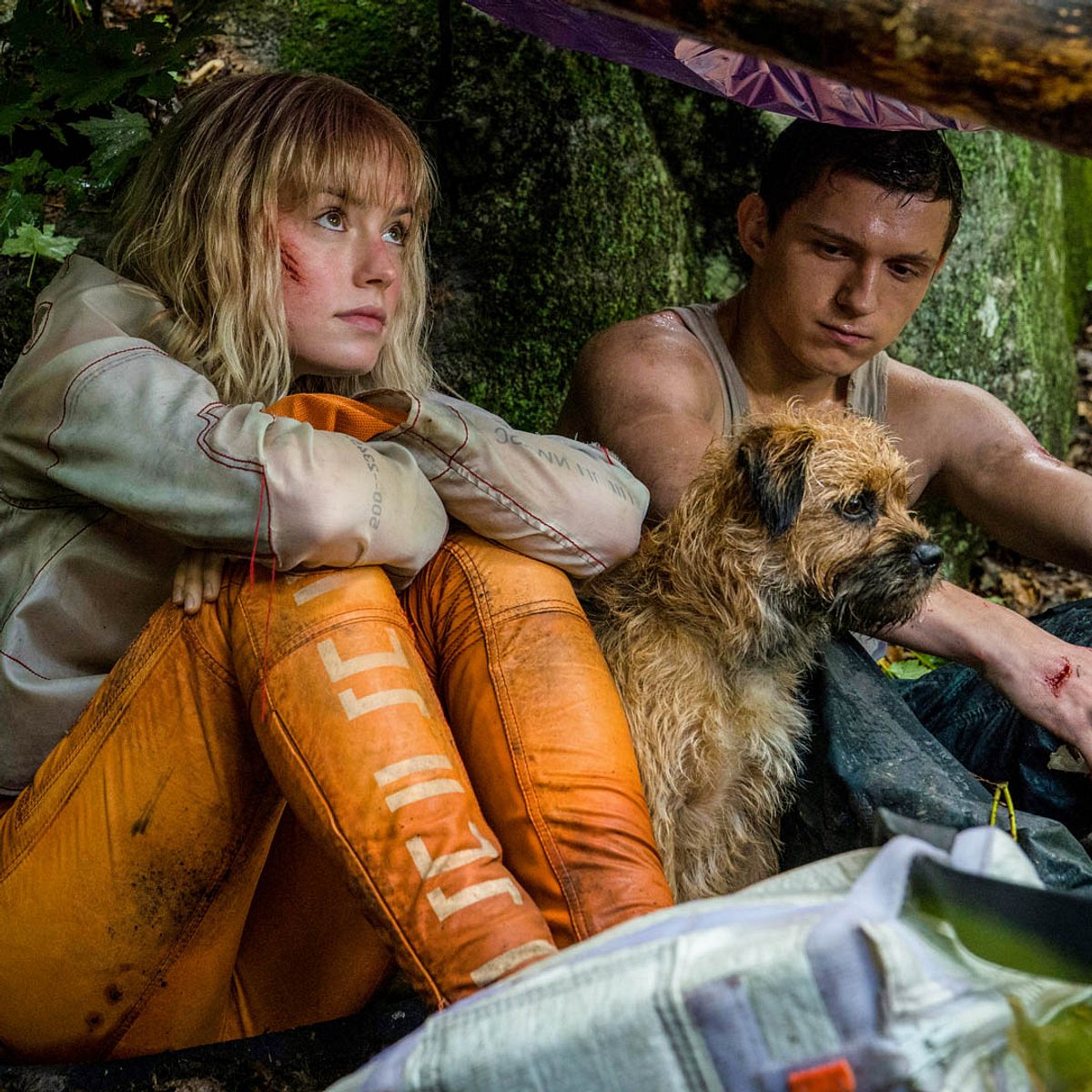 Chaos Walking: Geheime Szene mit Tom Holland und Daisy Ridley