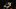 Charli DAmelio und Lil Huddy wieder zusammen? Neues Video verwirrt Fans! - Foto: YouTube/LILHUDDY
