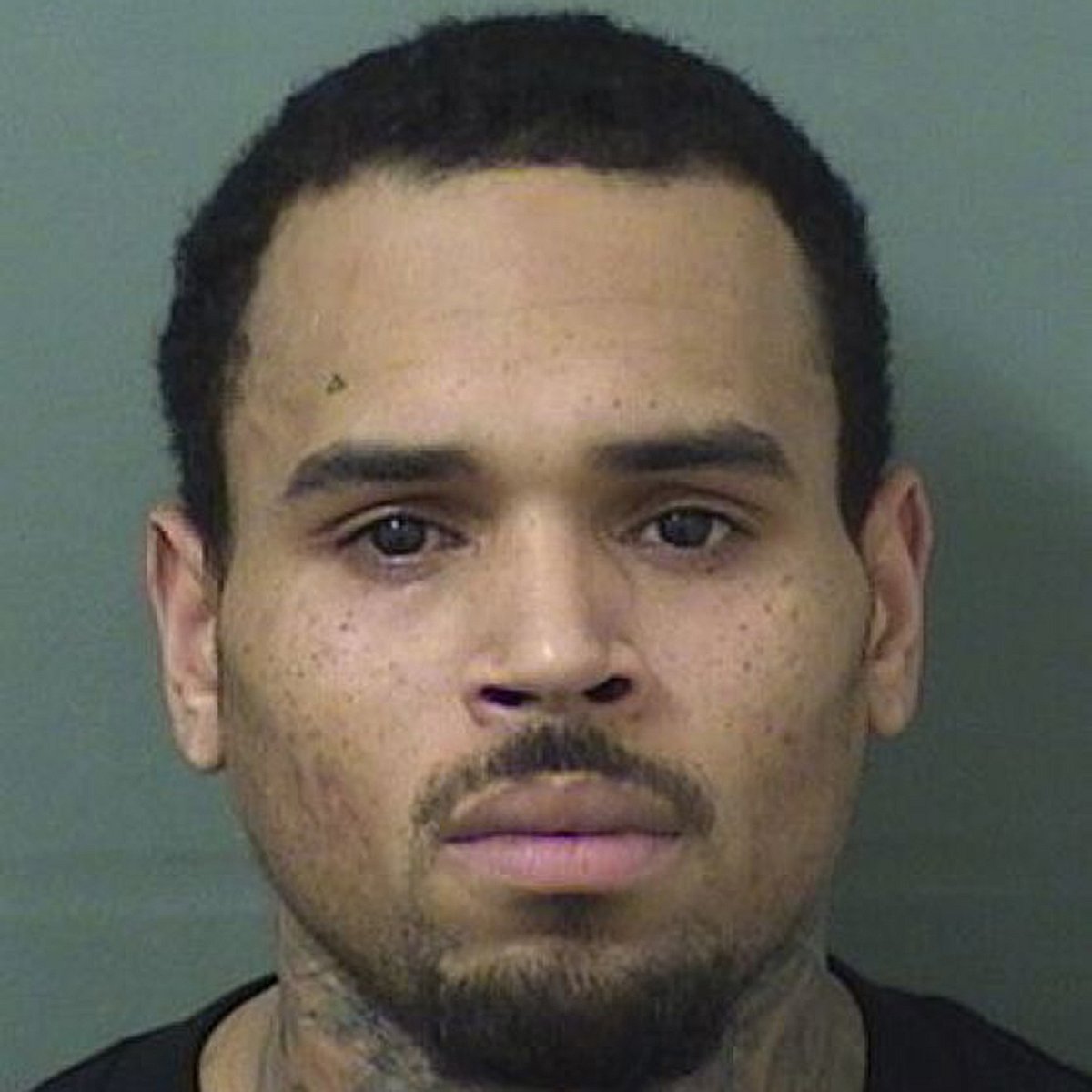 Chris Brown hat mal wieder Stress mit der Polizei