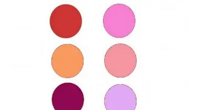 Welche Rouge-Farben gibt es?