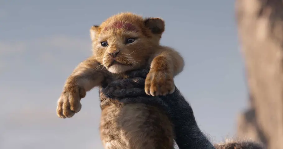 „Der König der Löwen“: Das bedeuten die Lyrics vom Song „Circle of Life“ wirklich!