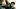 Der neue “Harry Potter”-Trailer ist da - Foto: Warner Bros.
