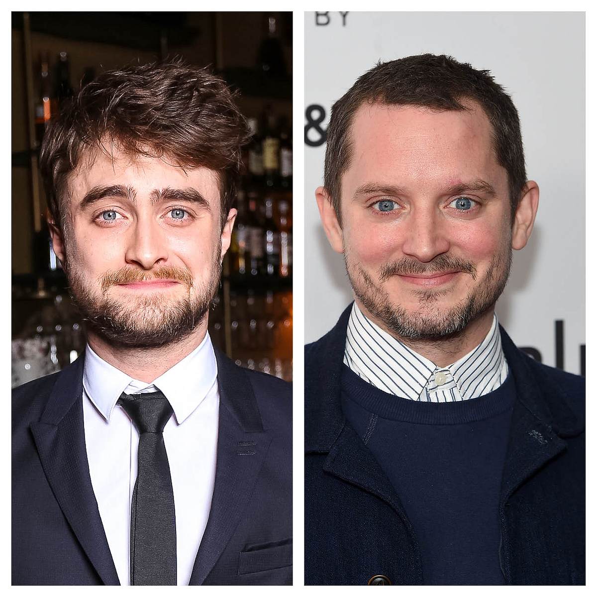 Die Doppelgänger der Stars Daniel Radcliffe Elijah Wood