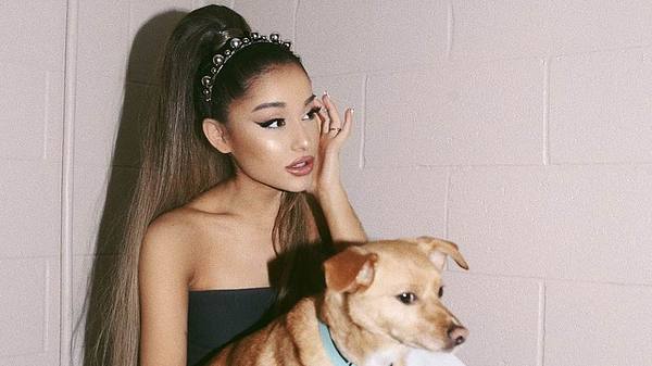 Die Haustiere der Stars Ariana Grande - Foto: instagram @arianagrande