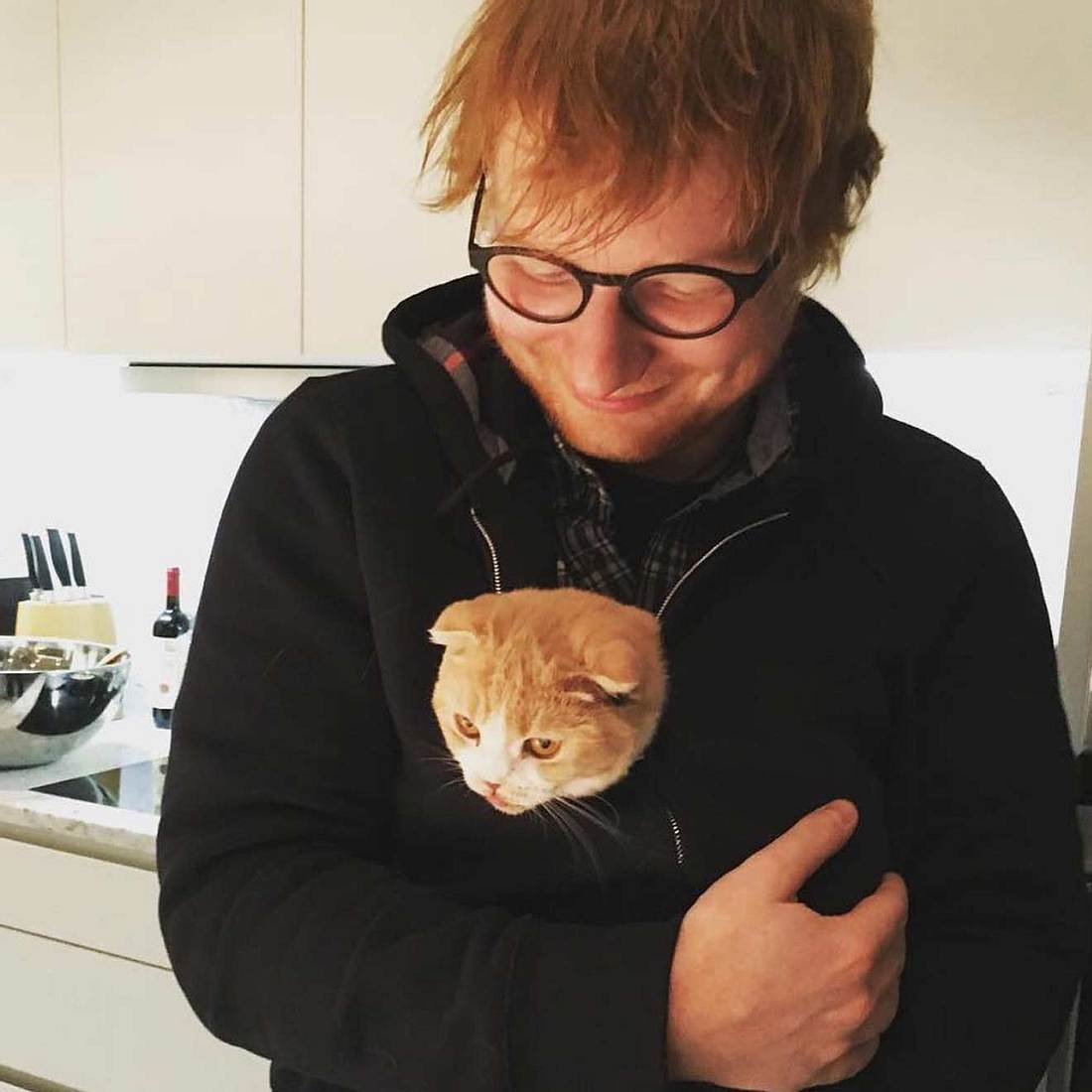 Die Haustiere der Stars Ed Sheeran