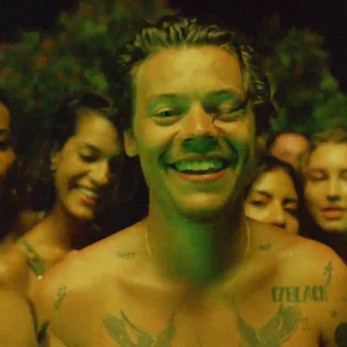 Die Nacktvideos der Stars Harry Styles