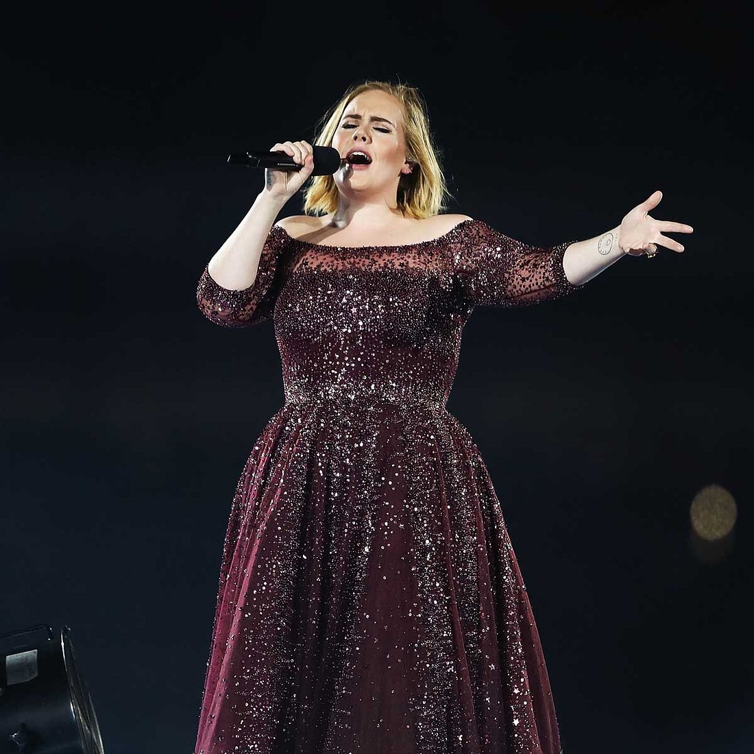 Die Phobien der Stars: Adele hasst Seemöwen