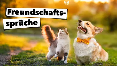 Die schönsten Freundschaftssprüche - Foto: Nataba / iStock