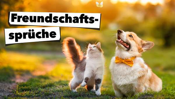 Die schönsten Freundschaftssprüche - Foto: Nataba / iStock