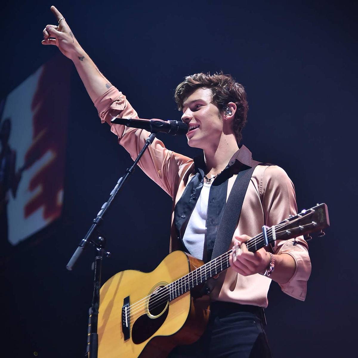 Die Top Ten der Teen Stars Shawn Mendes