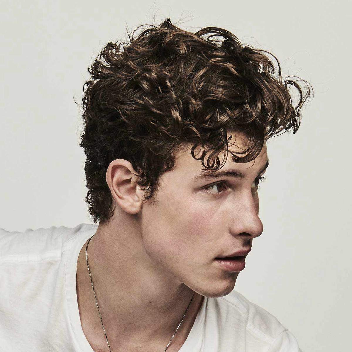 Die traurigsten Geschichten hinter diesen Hit-Songs Shawn Mendes