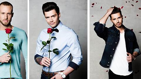Bachelorette Kandidaten 2017 - Foto: RTL