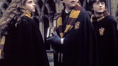 Dieser Stranger-Things-Star hätte fast Harry Potter gespielt - Foto: IMAGO / Everett Collection