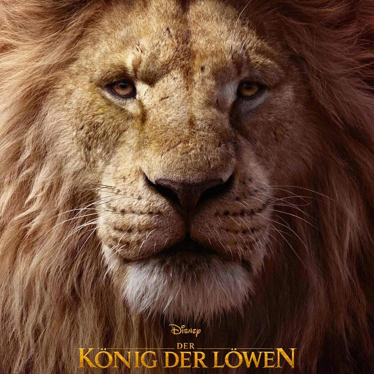 Disney+: Das sind die beliebtesten Serien und Filme! Der König der Löwen