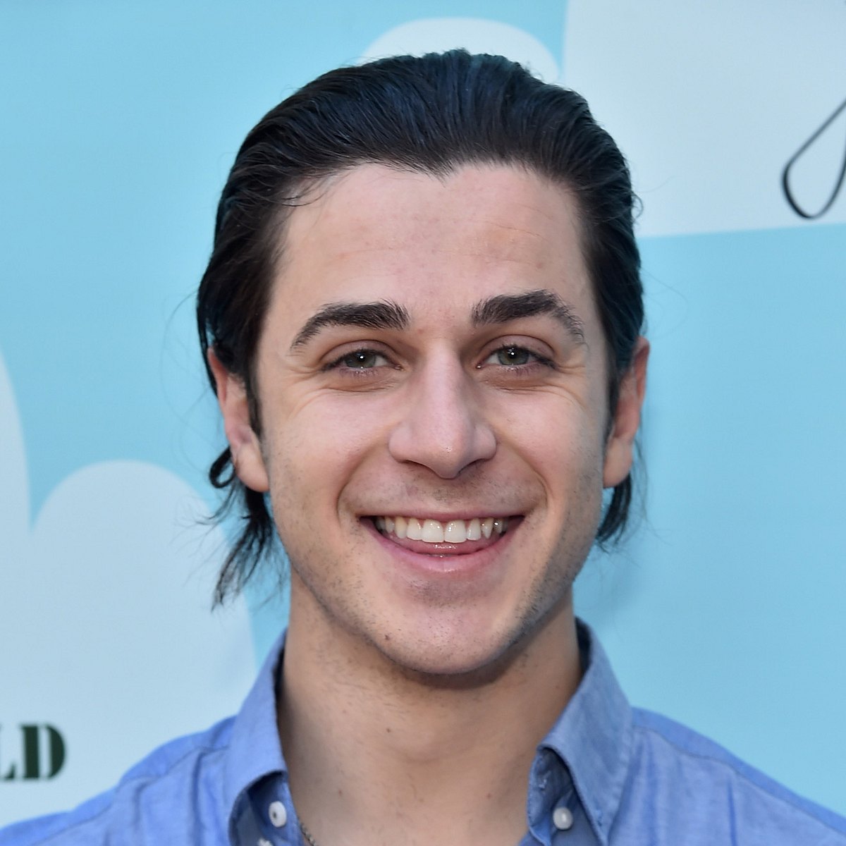 Disney-Star David Henrie wurde mit geladener Waffe am Flughafen erwischt