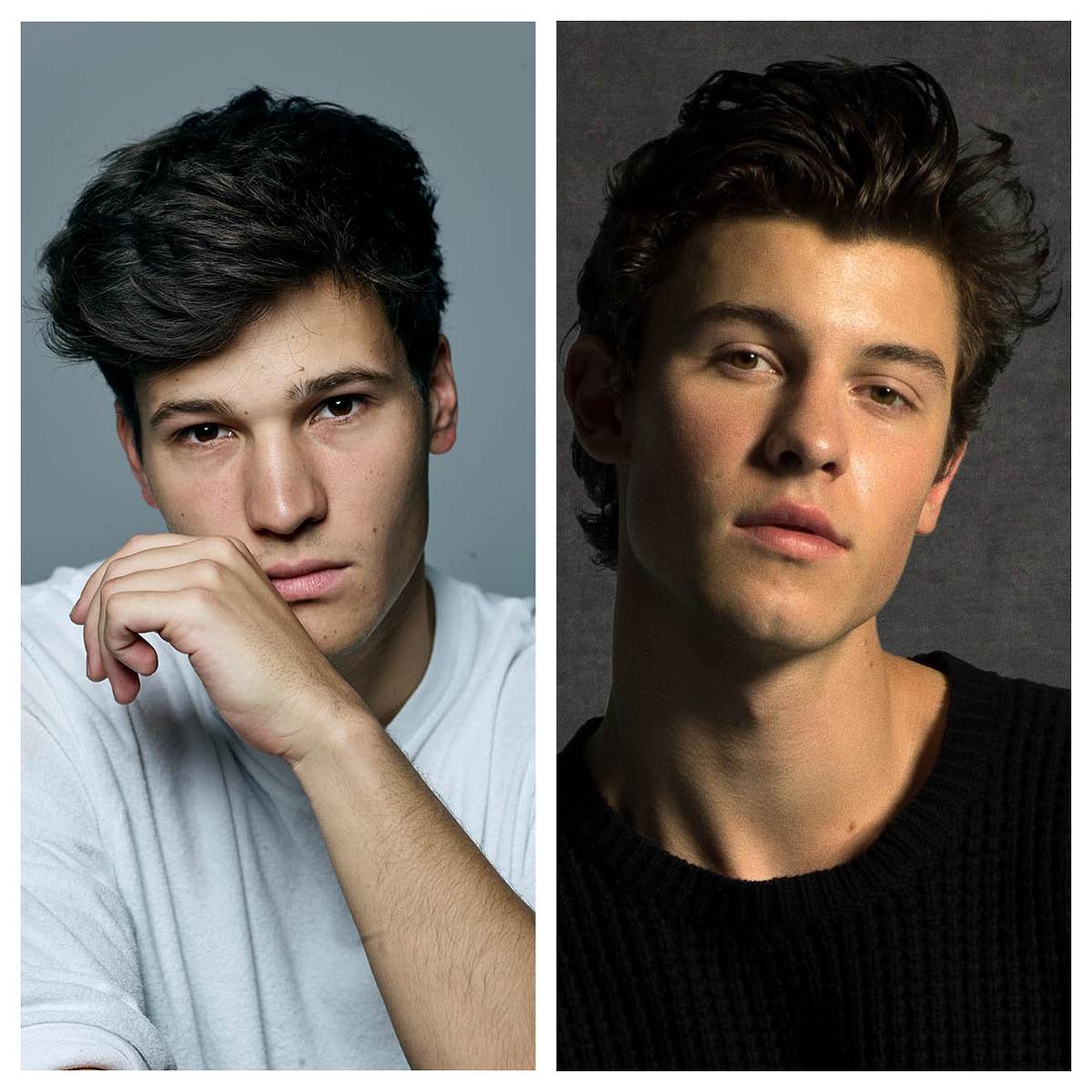 Doppelgänger der Stars: Shawn Mendes & Wincent Weiss