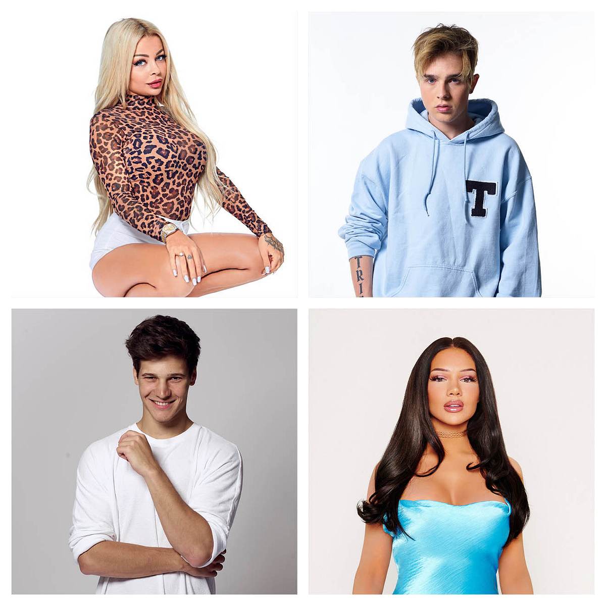 Katja Krasavice, Mike Singer, Wincent Weiss oder Shirin David – Wen willst du im nächsten Dschungelcamp sehen?