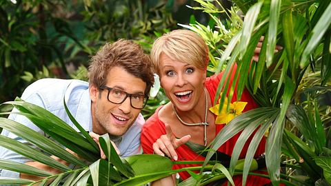 Daniel und Sonja führen wieder durch die Show! - Foto: RTL