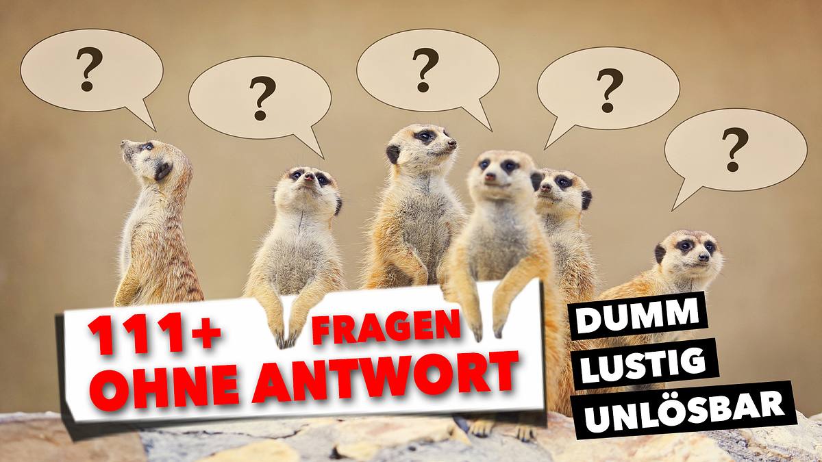 111+ lustige Fragen, die niemand beantworten kann BRAVO