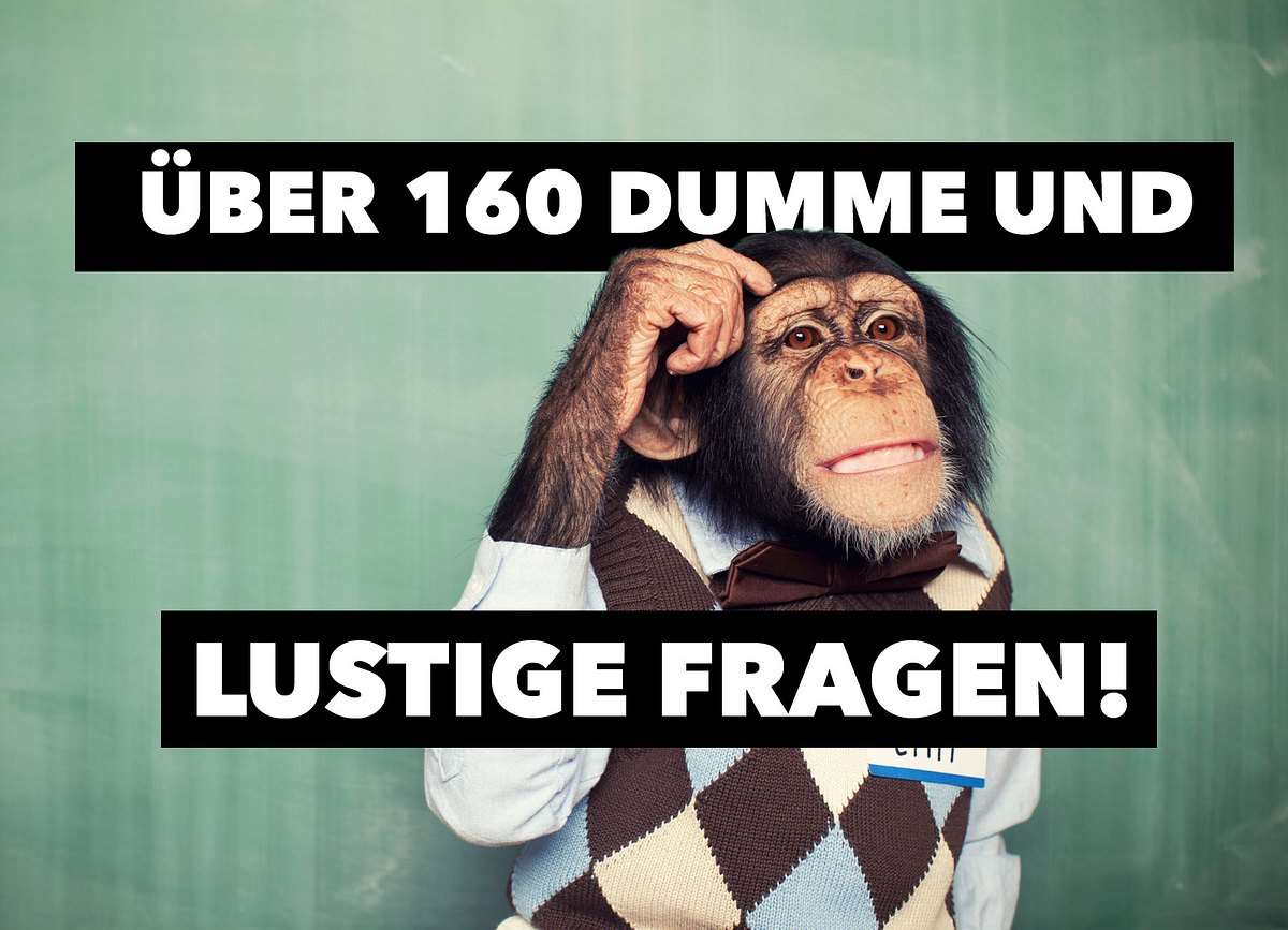 dumme und lustige fragen