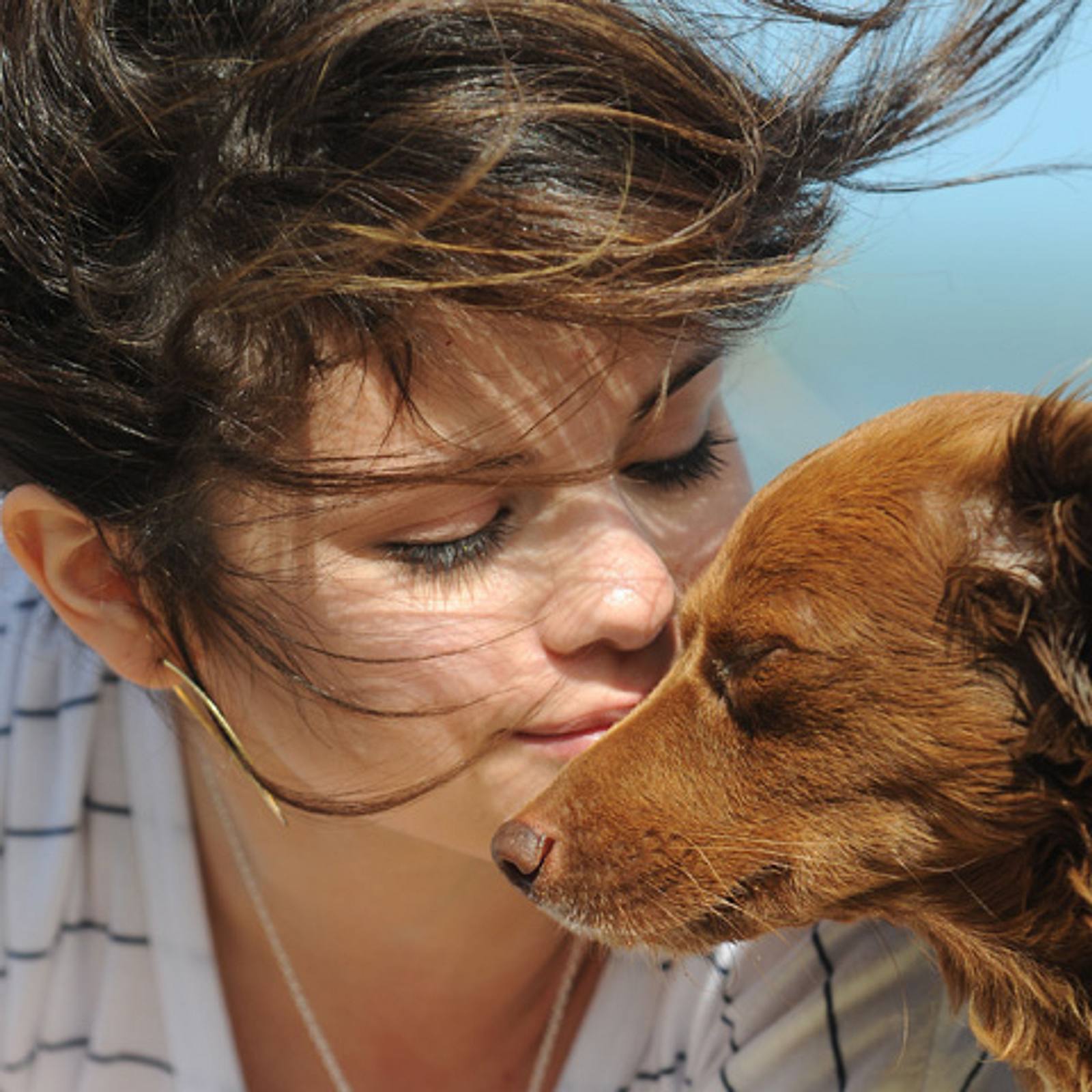 Süße Hunde: Die Tiere der Stars! | Süße Hunde: Die Tiere der Stars | BRAVO