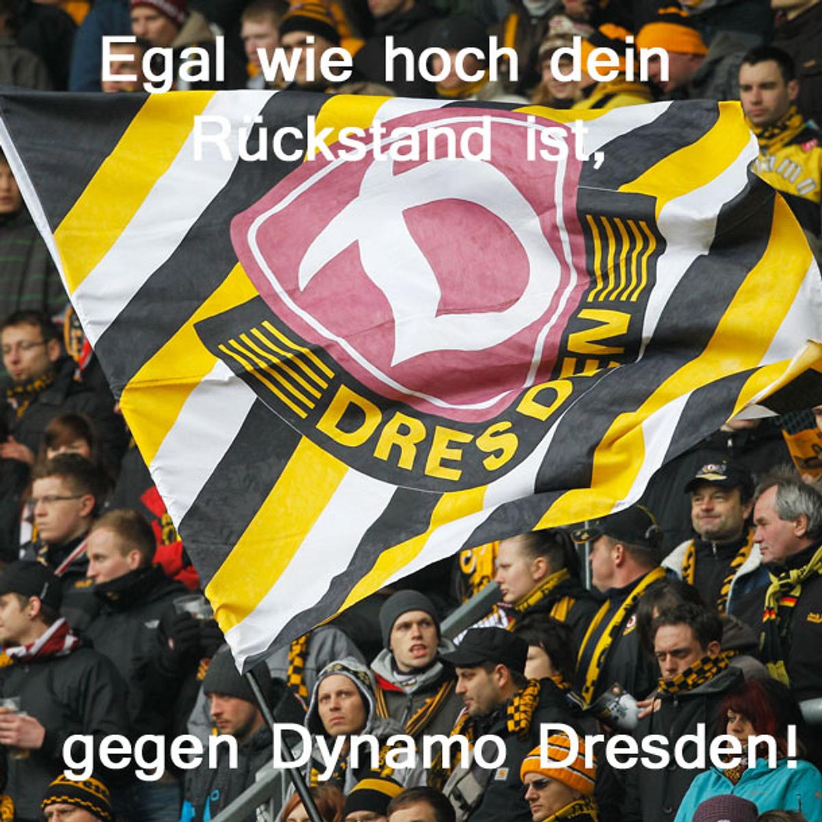 Egal wie Witze Dynamo Dresden
