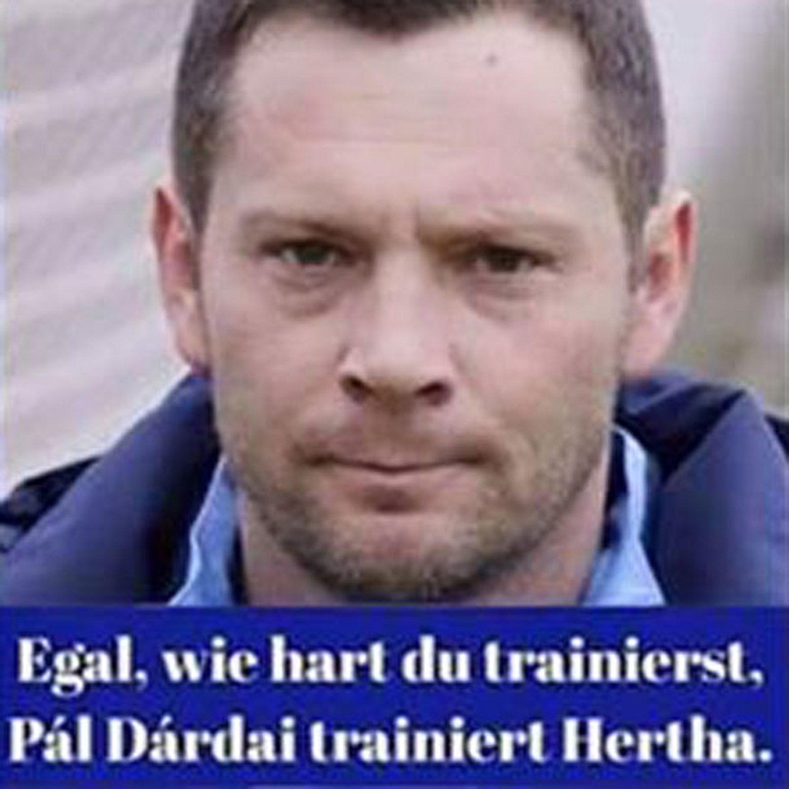 Egal wie Witze Pal Dardai Egal wie Witze Die besten Sprüche! BRAVO