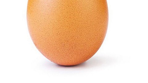 Dieses Ei generierte bisher knapp 45 Millionenen Likes auf Instagram. - Foto: Instagram@worl_record_egg