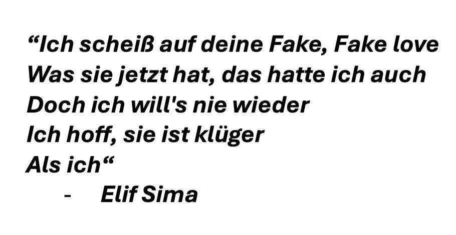 Fake Love Elif Sima Lyrics