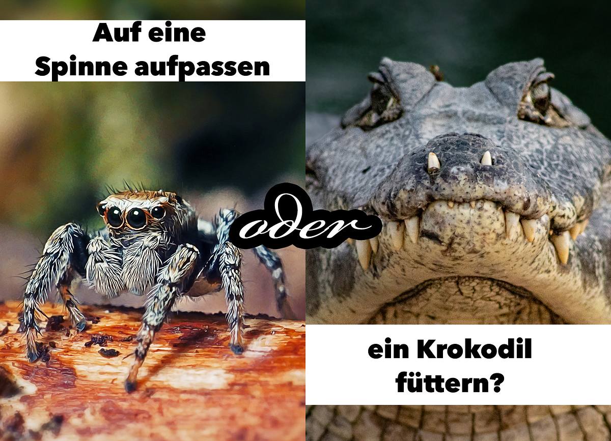 entweder oder für freund fragen