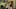 Video Platzhalter Video Platzhalter